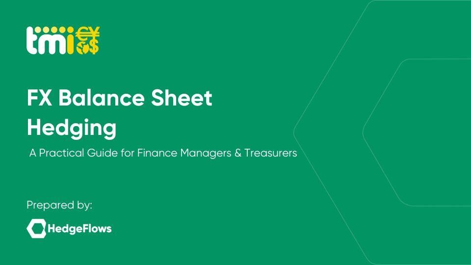 Balance Sheet Hedging - Training Video